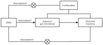 A bidirectional Mendelian randomization study investigating the causal role between gut microbiota and insomnia